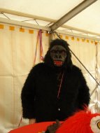 Karneval 2010 Bild 1