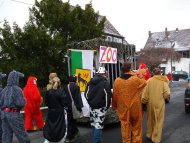 Karneval 2010 Bild 4